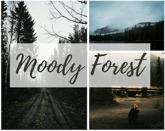 4 Moody Forest Lightroom Presets | Mobile Presets | Photo Editing Presets | Photo Editing Tools