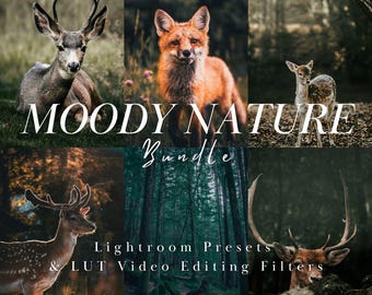 45+ Moody Nature Landscape and Macro Lightroom Presets and LUT Video Filters: Mobile & Desktop