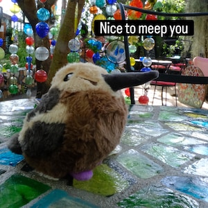 May include: A round, plush bird toy with brown and cream-coloured fur, a long dark beak, and a small purple foot visible. The toy features a black text overlay that reads "Nice to meep you" in a white sans-serif font against a black rectangular background.