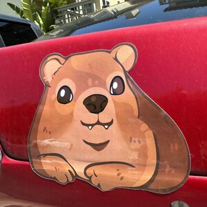 Adesivo Hyrax grande: 5,5" x 4,5 Hyrax sentado | Adesivos engraçados de animais fofos Meme Garrafa de água Laptop Carros pára-choques Decalque viral
