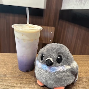 Pigeon Borb Plush | 4" Grey Dove Bird Stuffed Animal, Sensory Friendly Plushie | Kawaii Cute Soft Gifts Stuffed Plush Toys ADHD Autism