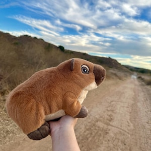 May include: A brown plush toy resembling a wombat is held in a hand against a backdrop of a dirt road and a blue sky with white clouds.