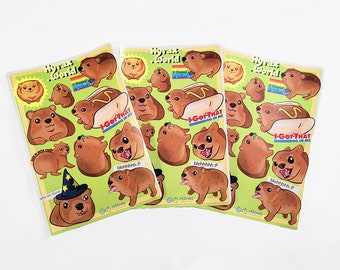 3 feuilles d'autocollants Hyrax : 4,5 x 6,8 pouces | Stickers animaux drôles mignons Meme bouteille d'eau ordinateur portable pare-chocs voitures Tumblrs Sticker viral