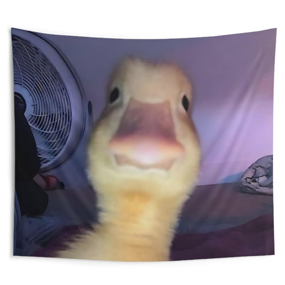 Duck Meme Funny Tapestry Funny Meme Tapestries Wall Hanging Flags for