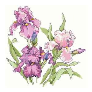 May include: A bouquet of purple and pink irises with green leaves. The flowers are in bloom and have a delicate, feminine appearance.