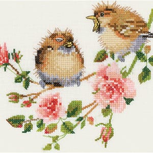 Könnte beinhalten: Zwei braune und weiße Vögel sitzen auf einem Ast mit rosafarbenen Rosen. Die Vögel haben flauschige braune Federn und schauen sich an. Die Rosen blühen und haben grüne Blätter.