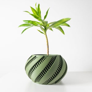 May include: A green plant with long, narrow leaves in a green, round, geometric planter with a swirling pattern.