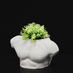 May include: A white bust-shaped planter with a green plant inside. The planter is a sculpted torso with defined chest muscles. The plant has small, light green leaves. The background is black.