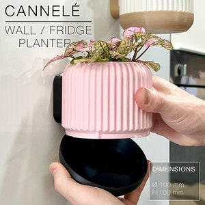 Wall Planter with Hidden Drip Tray - CANNELÉ | Wall/fridge Planter| Plant Pot | Flower Pot | Wall Mounted
