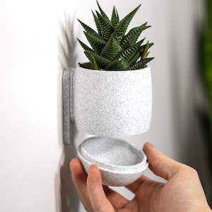 Wall Planter with Hidden Drip Tray - The Simple Planter | Plant Pot | Flower Pot | Wall Mounted