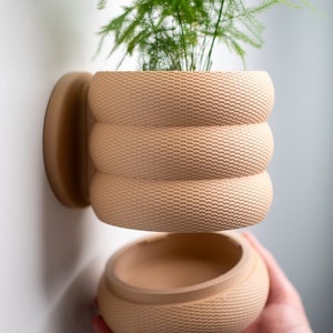 May include: A beige, textured wall-mounted planter with a round base and three stacked, curved sections. The planter holds a green plant with delicate, feathery foliage. The bottom section is separate, held by a hand.