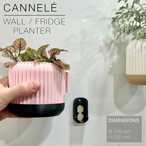 Wall Planter with Hidden Drip Tray - CANNELÉ | Wall/fridge Planter| Plant Pot | Flower Pot | Wall Mounted