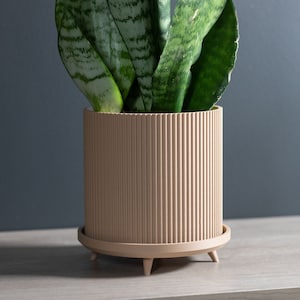 May include: A light brown ceramic planter with a ribbed design and three legs. The planter has a matching saucer and is holding a green snake plant.