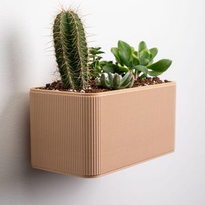 May include: A peach-coloured rectangular planter with vertical ribbed detailing, containing a variety of green succulents and a tall cactus. The planter is mounted on a white wall, showcasing a modern design. The cactus has sharp spines.