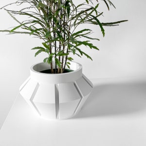 May include: A white geometric planter with a modern design, holding a green plant with long, slender leaves. The planter has a wide, angled base and a cylindrical top. The plant's height is approximately 46 cm.