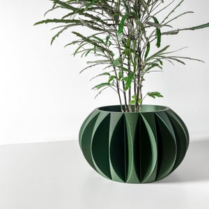 May include: A green, geometric planter with a plant growing out of it. The planter has a unique, folded design.