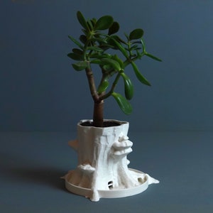 May include: White ceramic planter shaped like a tree stump with a small green succulent plant growing inside.