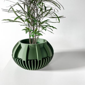 May include: A green, ribbed, round planter with a leafy green plant inside. The planter has a geometric design and is made of a smooth material.