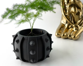 Indoor Planter Pot with Drainage | Unique Geometric 3D Printed | Planter Pot  | Plant Pot | Flower Pot | The Alver Planter