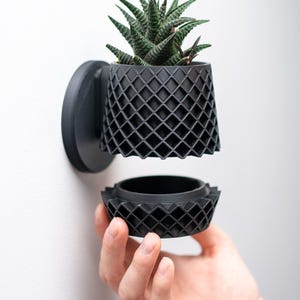 Wall Planter with Hidden Drip Tray - The Lattice Planter | Plant Pot | Flower Pot | Wall Mounted