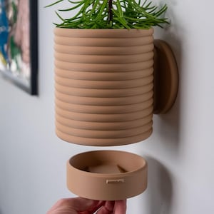 May include: A tan, ribbed, wall-mounted planter with a matching removable tray. The planter holds a green plant with long, thin leaves. The planter is cylindrical and has a circular mounting plate. The tray is being held by a hand.