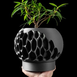 May include: A black, 3D printed planter with a geometric pattern. The planter is shaped like a sphere with a flat base. A small green plant is growing inside the planter.