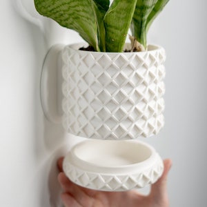 Wall Planter with Hidden Drip Tray - The Bubble Lattice Planter | Plant Pot | Flower Pot | Wall Mounted