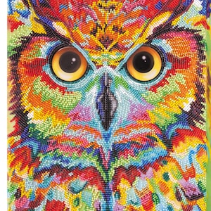 Bead Embroidery Kit Owl, Beaded 3D Owl Craft Kit for Adults, Needlepoint Kit, Picture of Beads, Beadwork Set, Handmade Gift, Easy Embroidery
