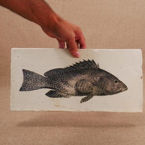 Rustic Fish Print Decorative Tile – Handcrafted Nautical Art in Fired Clay | Vintage Fish Tile Wall Decor
