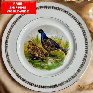 Vintage French Porcelain Plate by P.L. France – Decorative Plate with Pheasant and Partridges, Wildlife Bird Collector Plate