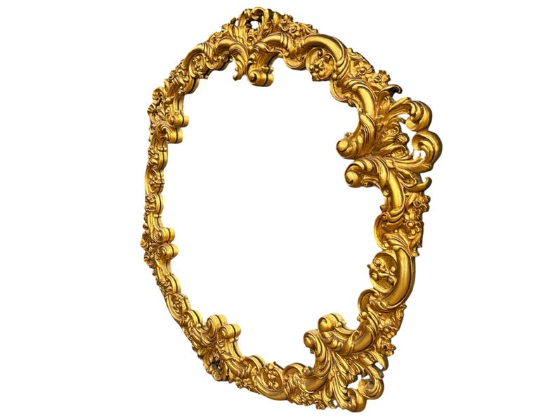 May include: Ornate, gold-colored oval frame with intricate floral and scrollwork detailing. The frame has a three-dimensional appearance and is set against a white background. The design is highly decorative and classic.