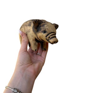 Pu&ograve; includere: Una piccola statuetta di maiale in ceramica beige con dettagli marrone scuro. Il maiale ha tratti dettagliati, tra cui orecchie, muso e occhi visibili. La statuetta &egrave; tenuta su uno sfondo bianco.