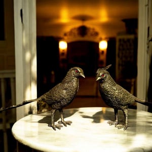 Vintage Bronze Bird Pair, Long Tail Pheasant Sculptures, Solid