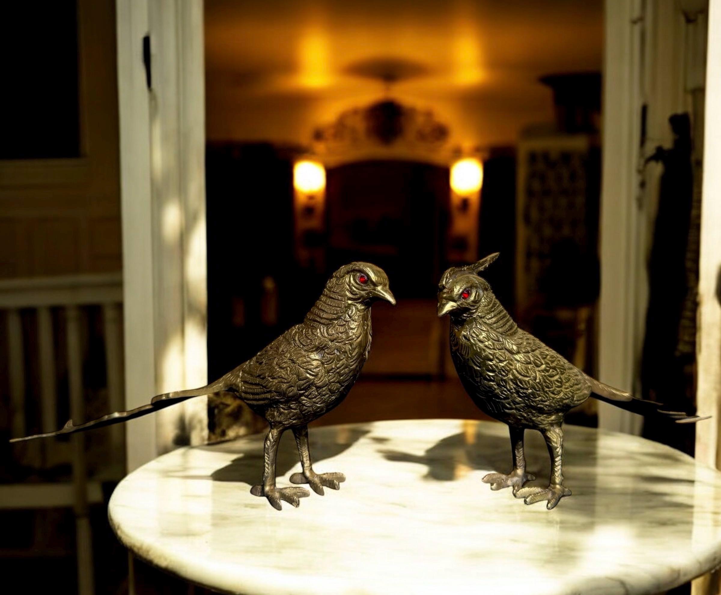 Vintage Bronze Bird Pair, Long Tail Pheasant Sculptures, Solid