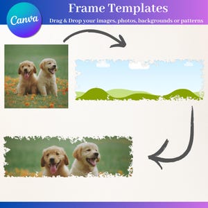 May include: A graphic promoting "Frame Templates" with the Canva logo. The image shows two golden retriever puppies in a grassy field, framed by a decorative border. The text encourages users to drag and drop images.