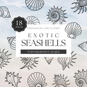 May include: An image featuring 18 black and white exotic seashell illustrations. The design includes various seashell shapes, with the text "EXOTIC SEASHELLS" and "transparent svg's". The background has a watercolour effect.