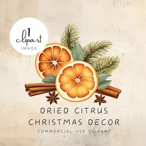 Clipart décoration Noël agrumes séchés, branche de pin, anis étoilé, cannelle, image unique, pour impression numérique créative UV DTF | UC105