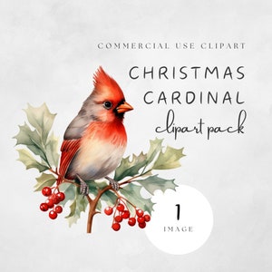 Watercolor Christmas Cardinal Clipart Cute Pastel Red Winter Cardinal Bird on Holly Branch Love Flying Animal | UC105