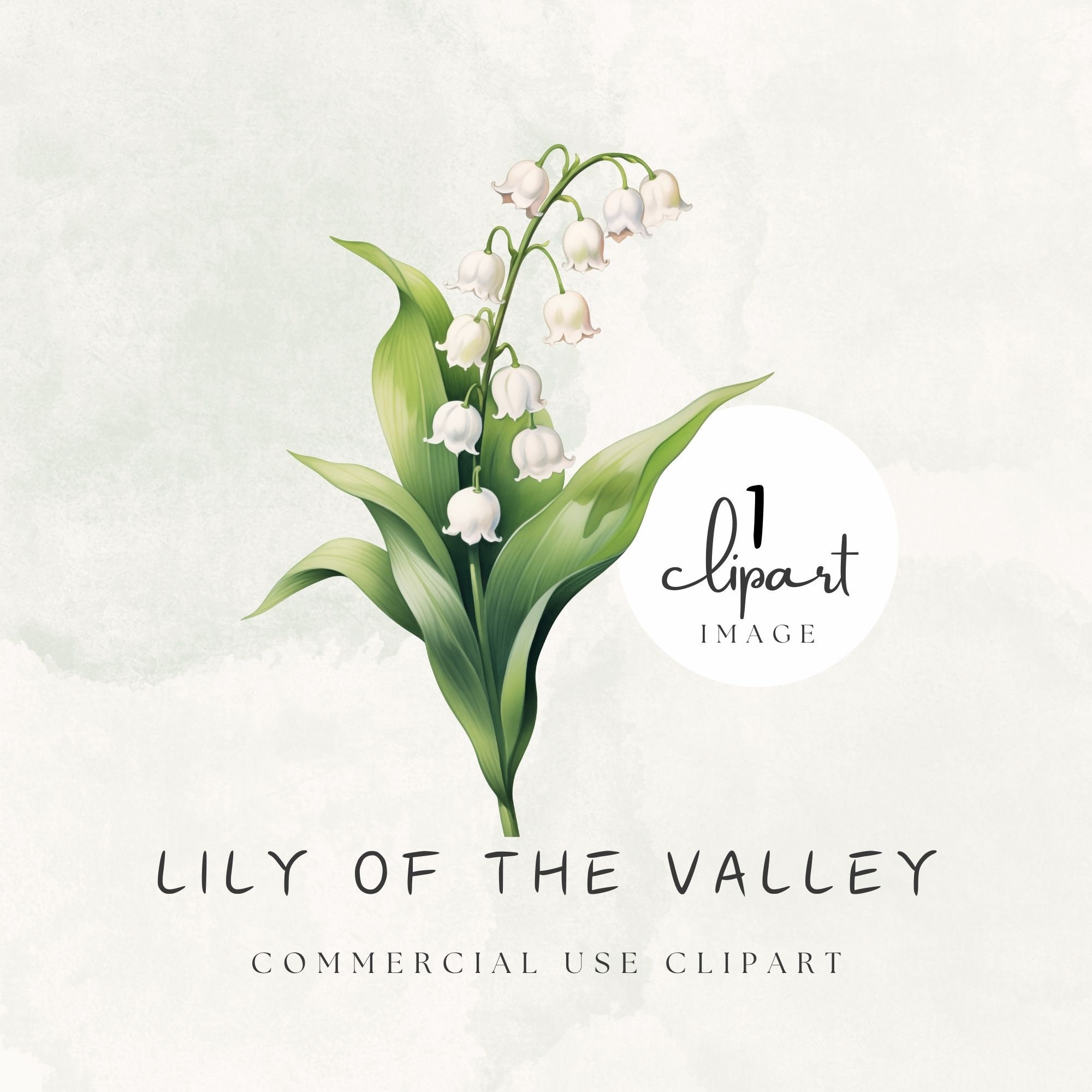 Lily of the Valley Clipart Watercolor PNG, White Flower Illustration, May Birth Month Flower PNG, for Digital Creators | UC003