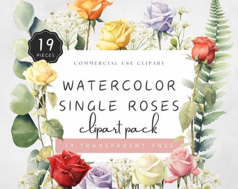 Könnte beinhalten: Aquarell-Clipart-Paket mit 19 einzelnen Rosen in verschiedenen Farben, darunter Rot, Gelb, Rosa, Orange und Lila. Die Rosen sind in einem realistischen Stil mit filigranen Details gemalt. KOMMERZIELLE NUTZUNG CLIPART 19 TRANSPARENTE PNGS