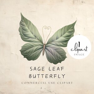 Clipart papillon aquarelle, papillon fantaisie feuille de sauge avec accents dorés, conte de fées fantastique, pour créations numériques et imprimées | UC207