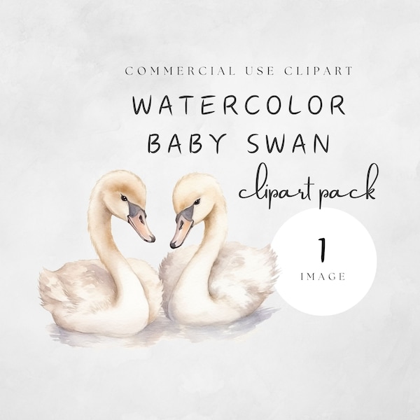 Baby Swan Clipart Image Cute Twin Watercolor Clip Art Elegant Swans in Water Adorable Love Animals in White and Beige | UC102