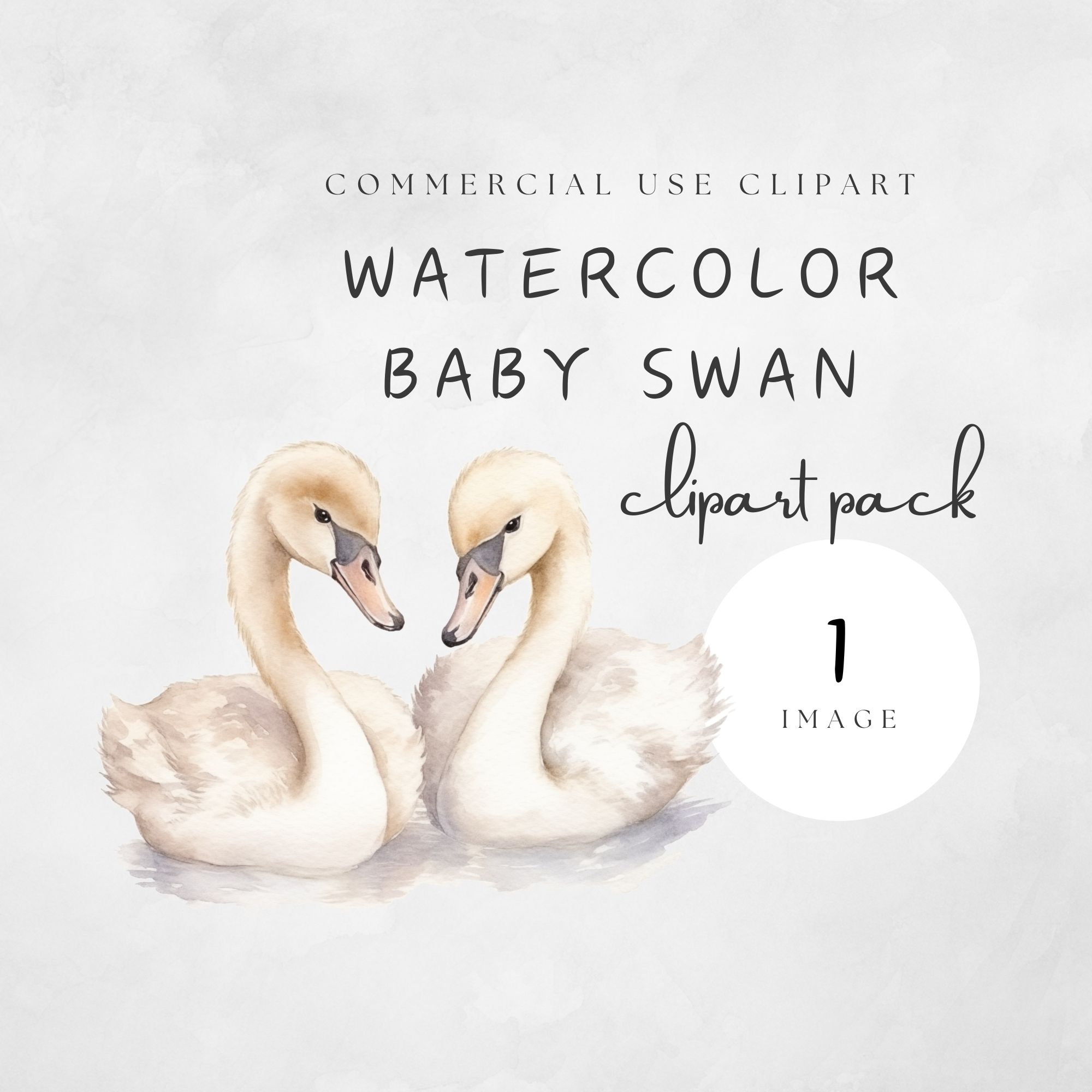 Baby Swan Clipart Image Cute Twin Watercolor Clip Art Elegant Swans in ...