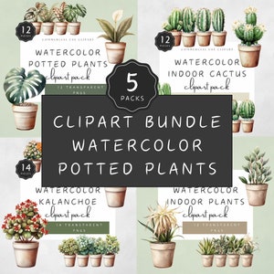 Potted Plant Clipart Bundle Watercolor Indoor Houseplants Cactus Kalanchoe Spider Lily in Pot Boho Pastel PNG | UC020