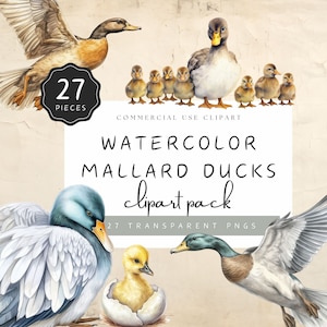 May include: Watercolor clipart pack of 27 mallard ducks in various poses, including a mother duck with ducklings, a duckling hatching from an egg, and a duck in flight.  The clipart is perfect for creating invitations, cards, and other crafts.