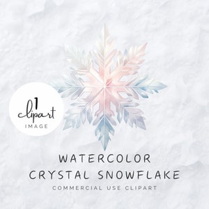 Kristallen sneeuwvlok clipart, aquarel Winter Wonderland, pastel blauw roze ijsbloem, voor commercieel gebruik ambachten | UC100