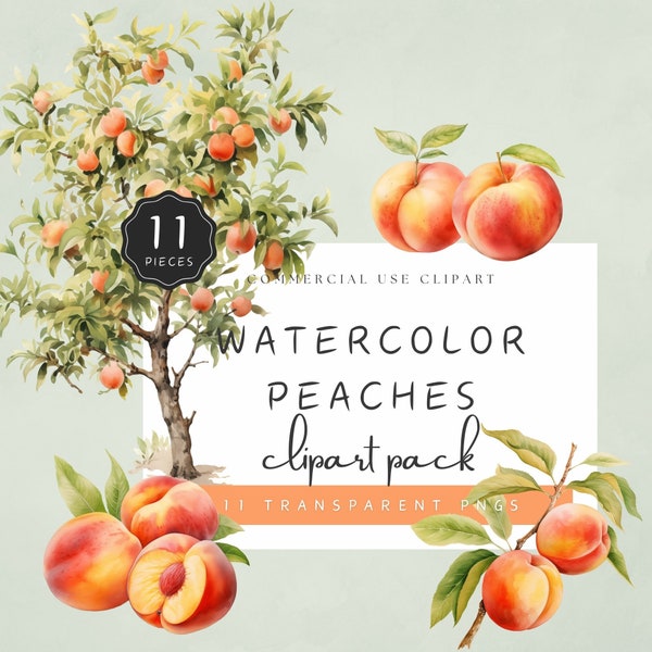Peach Clipart Watercolor Fruit Garden Peach Tree PNG Transparent Background Illustrations Commercial Use | UC003