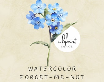 Könnte beinhalten: Aquarellmalerei eines Straußes blauer Vergissmeinnicht-Blumen mit gelben Zentren. Die Blumen befinden sich auf einem Stiel mit grünen Blättern. Das Bild ist mit "1 clipart image" und "WATERCOLOR FORGET-ME-NOT COMMERCIAL USE CLIPART" beschriftet.