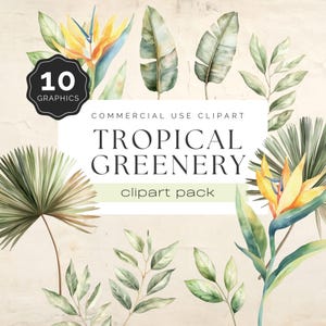 Tropical Greenery Clipart, Bird of Paradise Flower png, Banana Palm Ruscus Leaf, Transparent Background, 10 PNG Graphics for Crafts | UC003