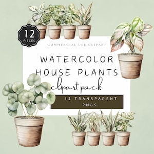 May include: A set of 12 watercolor illustrations of house plants in pots. The plants are drawn in a realistic style with green leaves and brown pots. The illustrations are perfect for adding a touch of nature to your designs.